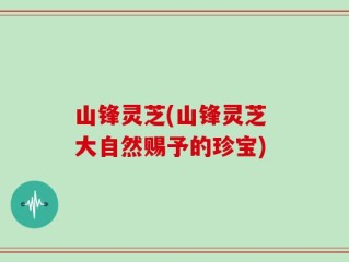 山锋灵芝(山锋灵芝 大自然赐予的珍宝)