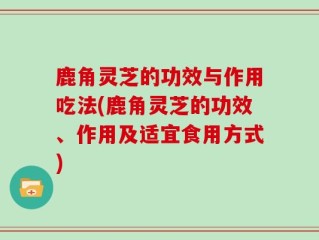 鹿角灵芝的功效与作用吃法(鹿角灵芝的功效、作用及适宜食用方式)
