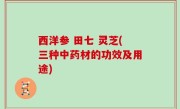 西洋参 田七 灵芝(三种中药材的功效及用途)