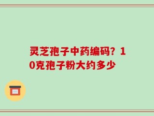 灵芝孢子中药编码？10克孢子粉大约多少