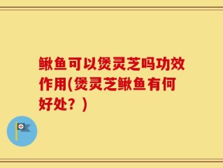 鳅鱼可以煲灵芝吗功效作用(煲灵芝鳅鱼有何好处？)