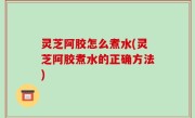 灵芝阿胶怎么煮水(灵芝阿胶煮水的正确方法)
