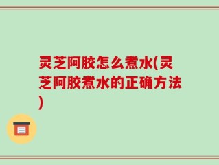 灵芝阿胶怎么煮水(灵芝阿胶煮水的正确方法)