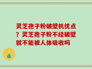灵芝孢子粉破壁机优点？灵芝孢子粉不经破壁就不能被人体吸收吗