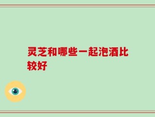 灵芝和哪些一起泡酒比较好