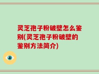灵芝孢子粉破壁怎么鉴别(灵芝孢子粉破壁的鉴别方法简介)