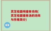 灵芝桂圆炖猪骨功效(灵芝桂圆猪骨汤的功效与作用简介)