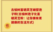 古榆树富硒灵芝破壁孢子粉(古榆树孢子化富硒灵芝粉：让你拥有更健康的生活方式)