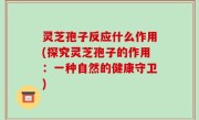 灵芝孢子反应什么作用(探究灵芝孢子的作用：一种自然的健康守卫)