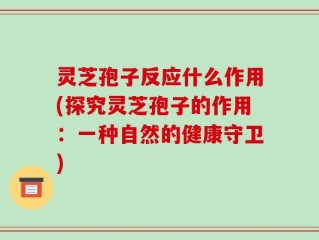 灵芝孢子反应什么作用(探究灵芝孢子的作用：一种自然的健康守卫)