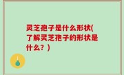 灵芝孢子是什么形状(了解灵芝孢子的形状是什么？)