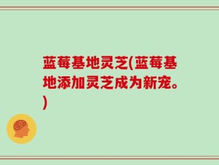 蓝莓基地灵芝(蓝莓基地添加灵芝成为新宠。)