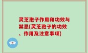 灵芝孢子作用和功效与禁忌(灵芝孢子的功效、作用及注意事项)