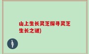 山上生长灵芝探寻灵芝生长之谜)