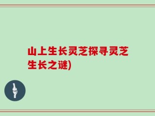 山上生长灵芝探寻灵芝生长之谜)