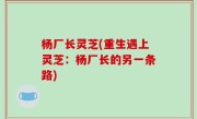 杨厂长灵芝(重生遇上灵芝：杨厂长的另一条路)