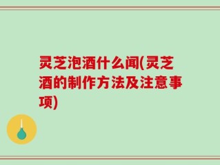 灵芝泡酒什么闻(灵芝酒的制作方法及注意事项)