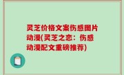 灵芝价格文案伤感图片动漫(灵芝之恋：伤感动漫配文重磅推荐)