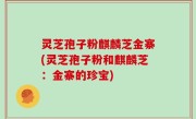 灵芝孢子粉麒麟芝金寨(灵芝孢子粉和麒麟芝：金寨的珍宝)
