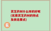 灵芝药材什么样的好呢(优质灵芝药材的特点及挑选要点)