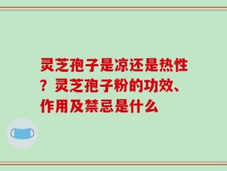 灵芝孢子是凉还是热性？灵芝孢子粉的功效、作用及禁忌是什么