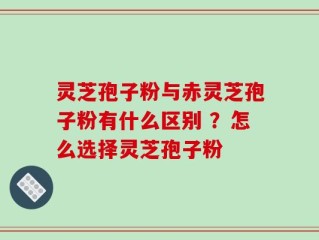灵芝孢子粉与赤灵芝孢子粉有什么区别 ？怎么选择灵芝孢子粉