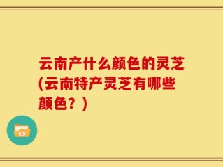 云南产什么颜色的灵芝(云南特产灵芝有哪些颜色？)