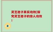 灵芝孢子真实功效(探究灵芝孢子的惊人功效！