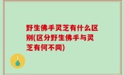 野生佛手灵芝有什么区别(区分野生佛手与灵芝有何不同)