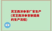 灵芝西洋参茶厂家生产(灵芝西洋参茶制造商的生产流程)