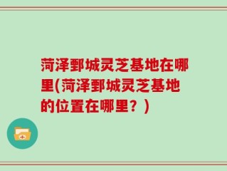 菏泽鄄城灵芝基地在哪里(菏泽鄄城灵芝基地的位置在哪里？)