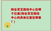 阳谷灵芝栽培中心在哪个位置(阳谷灵芝栽培中心的具体位置在哪里？)
