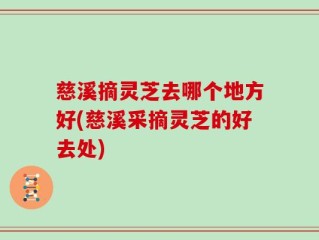 慈溪摘灵芝去哪个地方好(慈溪采摘灵芝的好去处)
