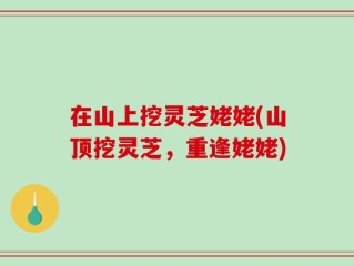 在山上挖灵芝姥姥(山顶挖灵芝，重逢姥姥)