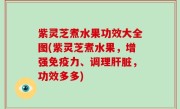 紫灵芝煮水果功效大全图(紫灵芝煮水果，增强免疫力、调理肝脏，功效多多)
