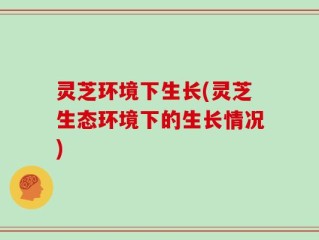 灵芝环境下生长(灵芝生态环境下的生长情况)