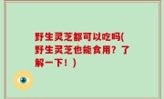 野生灵芝都可以吃吗(野生灵芝也能食用？了解一下！)