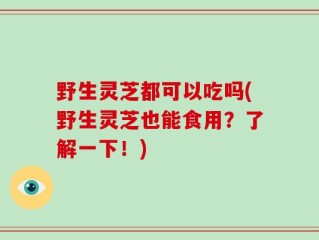 野生灵芝都可以吃吗(野生灵芝也能食用？了解一下！)