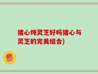 猪心炖灵芝好吗猪心与灵芝的完美组合)