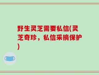 野生灵芝需要私信(灵芝奇珍，私信采摘保护)