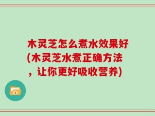 木灵芝怎么煮水效果好(木灵芝水煮正确方法，让你更好吸收营养)