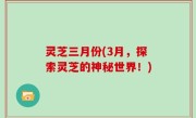 灵芝三月份(3月，探索灵芝的神秘世界！)