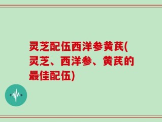 灵芝配伍西洋参黄芪(灵芝、西洋参、黄芪的最佳配伍)