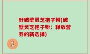 野破壁灵芝孢子粉(破壁灵芝孢子粉：释放营养的新选择)