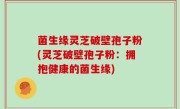 菌生缘灵芝破壁孢子粉(灵芝破壁孢子粉：拥抱健康的菌生缘)