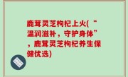 鹿茸灵芝枸杞上火(“温润滋补，守护身体”，鹿茸灵芝枸杞养生保健优选)