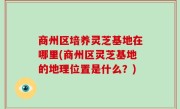 商州区培养灵芝基地在哪里(商州区灵芝基地的地理位置是什么？)