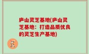 庐山灵芝基地(庐山灵芝基地：打造品质优良的灵芝生产基地)