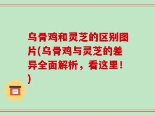 乌骨鸡和灵芝的区别图片(乌骨鸡与灵芝的差异全面解析，看这里！)