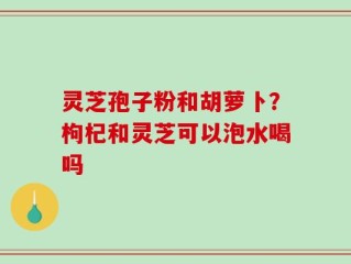 灵芝孢子粉和胡萝卜？枸杞和灵芝可以泡水喝吗